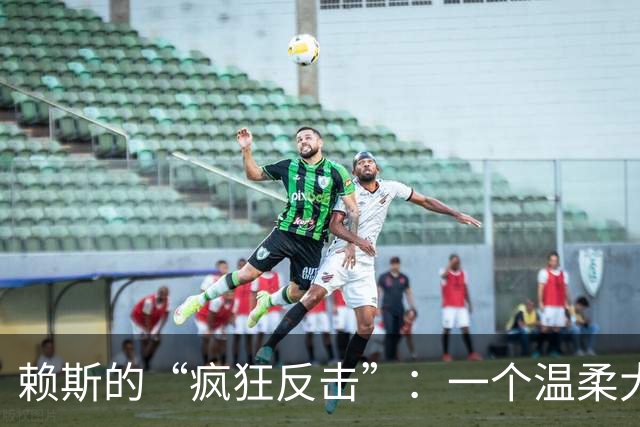 赖斯的“疯狂反击”：一个温柔大象的暴躁瞬间